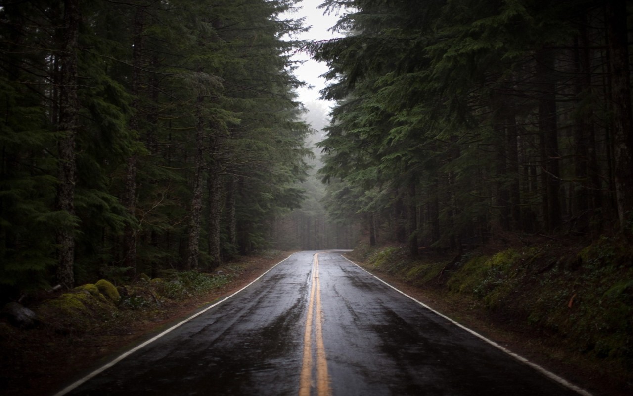 view of a road with woods along the edges