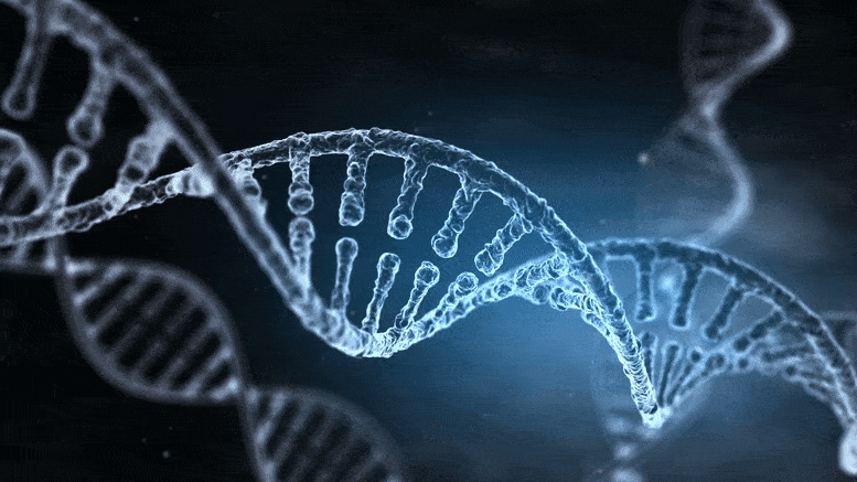 DNA strands rotating
