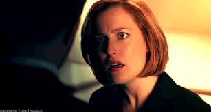 While Scully Was Gone Challenge