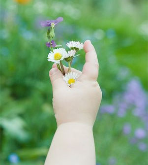 chubby toddler hand holding a flower