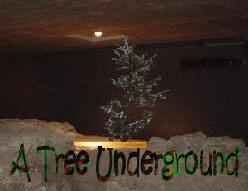 A Tree Underground